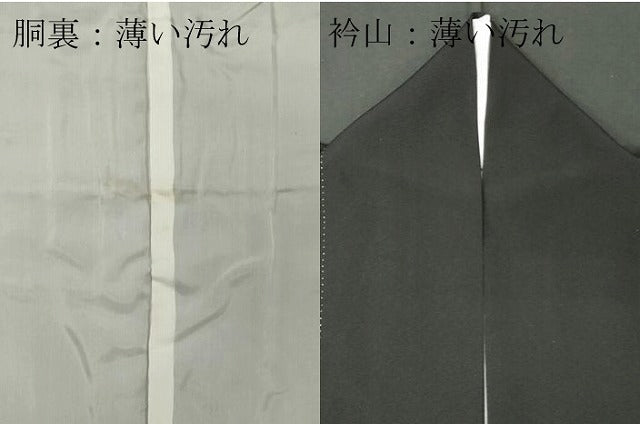 平和屋着物■豪華黒留袖　作家物　花鳥文　金銀彩　正絹　逸品　CABC7837ou