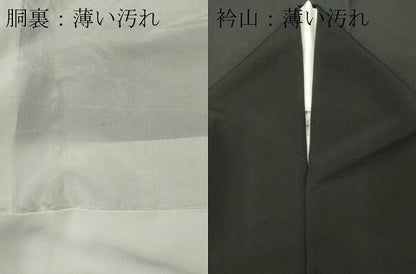 平和屋着物■豪華黒留袖　駒刺繍　鏡裏鳳凰花文　金彩　正絹　逸品　CABC7838ou