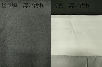 平和屋着物■豪華黒留袖　駒刺繍　吉祥草花文　金彩　正絹　逸品　CABC7844ou