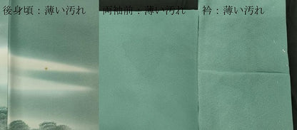 平和屋着物■豪華色留袖 作家物 風景文 暈し染め 金彩 正絹 逸品 CABC7859ou