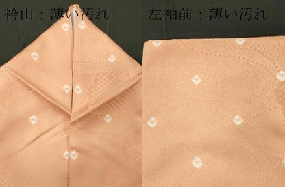 平和屋着物■上質な小紋 絞り 舞花文 正絹 逸品 CABC7889ou