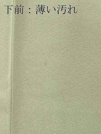 平和屋着物■豪華色留袖　風景枝花文　暈し染め　金彩　正絹　逸品　CABC7902ou