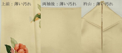 平和屋着物■訪問着 友禅 枝花文 金彩 正絹 逸品 CABC7982ou