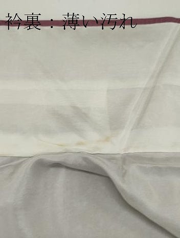 平和屋着物■上質な色無地 雲取り気象地紋 菖蒲色 正絹 逸品 CABC7994ou