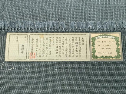 平和屋着物●男性 本塩沢 110亀甲 武田清三郎作 宮田俊夫作 総詰め 証紙付き 正絹 逸品 未使用 CABC8029gh