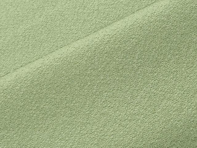 平和屋着物●上質な色無地　若葉色　ロング丈　正絹　逸品　CABC8202gh