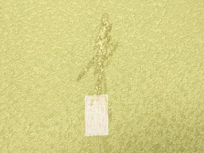 平和屋着物●本草木染作家　瑞寶　色無地　紋意匠　枯草色　正絹　逸品　未使用　CABC8335gh