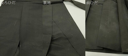 平和屋着物●男性　馬乗り袴　縞　正絹　逸品　CABC8398gh