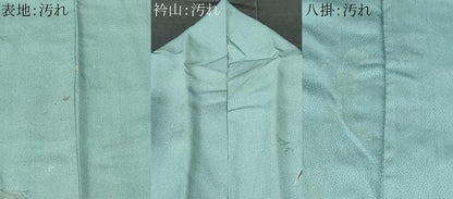 平和屋着物■訪問着 休み鳥 暈し染め 金彩 正絹 逸品 CABC8956fb