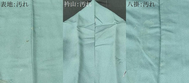 平和屋着物■訪問着 休み鳥 暈し染め 金彩 正絹 逸品 CABC8956fb