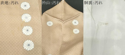 平和屋着物■上質な小紋 菊 正絹 逸品 CABC9138fb
