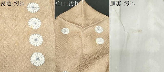 平和屋着物■上質な小紋 菊 正絹 逸品 CABC9138fb
