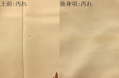 平和屋着物■訪問着　駒刺繍　草花文　金彩　正絹　逸品　CABC9169fb