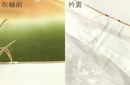 平和屋着物●訪問着 草花文 暈し染め 金彩 正絹 逸品 CABC9615vp