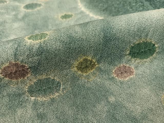 平和屋着物●訪問着 作家物 絞り 流水草木文 暈し染め 正絹 逸品 CABC9657vp