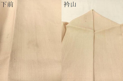 平和屋着物●染色作家 桐山紫香 手描き 訪問着 生紬 草花文 正絹 逸品 CABC9658vp