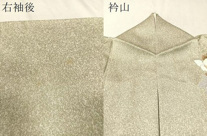 平和屋着物●訪問着 草花文 たたき染め 金彩 正絹 逸品 CABC9679vp