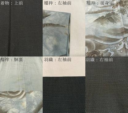 平和屋着物●男性 本場大島紬 アンサンブル 長襦袢セット 100亀甲 総詰め 正絹 逸品 CABC9689vp