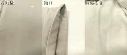平和屋着物●本加賀友禅作家 染元千紅代表 寺西一紘 色留袖 水辺風景文 暈し染め 正絹 逸品 CABC9696vp