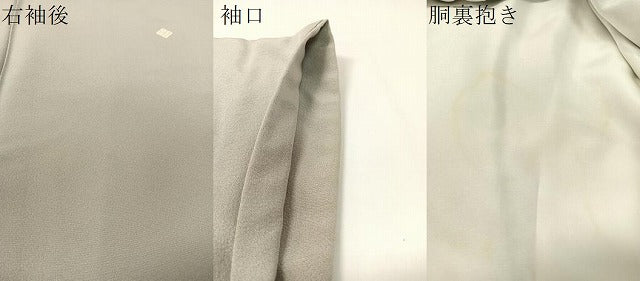 平和屋着物●本加賀友禅作家 染元千紅代表 寺西一紘 色留袖 水辺風景文 暈し染め 正絹 逸品 CABC9696vp