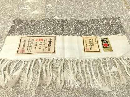 平和屋着物●石川県指定無形文化財 牛首紬 白山工房 手織り 訪問着 幾何学鱗文 ますいわ屋扱い 証紙付き 正絹 逸品 CABC9728vp
