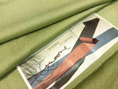 平和屋着物●上質な色無地 特殊両面染 さざなみ縮緬 紋意匠 青丹色 反端付き 正絹 逸品 CABC9732vp