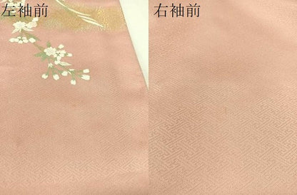平和屋着物●訪問着　駒刺繍　立波菊花文　暈し染め　金彩　ロング丈　正絹　逸品　CABC9944vp
