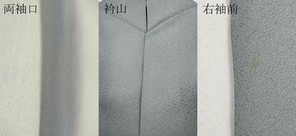 平和屋着物●訪問着 吉祥文 金彩 松坂屋扱い 正絹 逸品 CABD0027ut