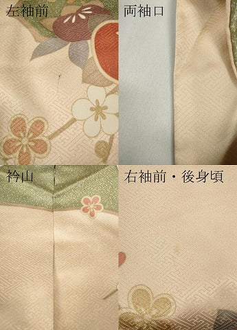 平和屋着物●訪問着　枝花文　金彩　正絹　逸品　CABD0083ut