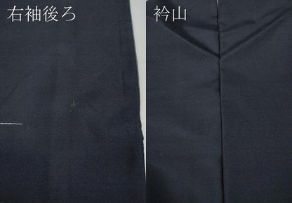平和屋着物●訪問着　作家物　紬地　刺繍　霞文　正絹　逸品　CABD0096ut