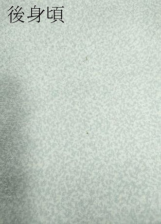 平和屋着物●訪問着　枝垂れ花文　金彩　正絹　逸品　CABD0165ut