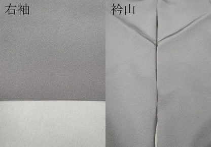平和屋着物●豪華色留袖　作家物　風景飛鶴草花文　暈し染め　正絹　逸品　CABD0168ut