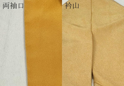 平和屋着物●江戸小紋　鮫小紋柄　正絹　逸品　CABD0176ut