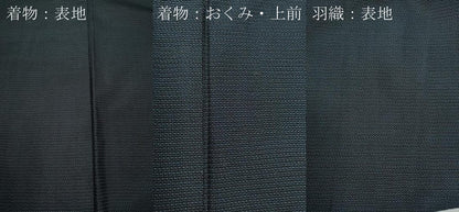 平和屋着物●男性　本場大島紬　アンサンブル　160亀甲　総詰め　正絹　逸品　CABD0182ut