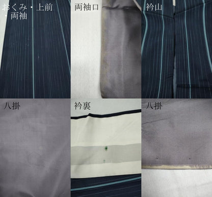 平和屋着物●本場縞大島紬　縞　ロング丈　正絹　逸品　CABD0244ut