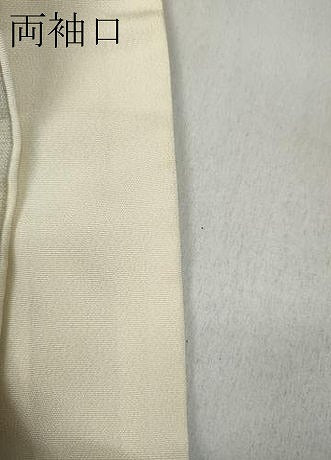 平和屋着物●訪問着　ぜんまい紬　手描き　笹竹文　正絹　逸品　CABD0303ut