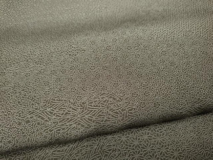 平和屋着物●江戸小紋　雲取り寄せ小紋柄　正絹　逸品　CABD0327ut