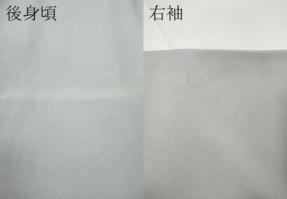 平和屋着物●上質な色無地　白梅鼠色　正絹　逸品　CABD0357ut