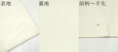 平和屋着物●塩瀬 九寸名古屋帯 舞花文 金銀彩 正絹 逸品 CABD0457hy