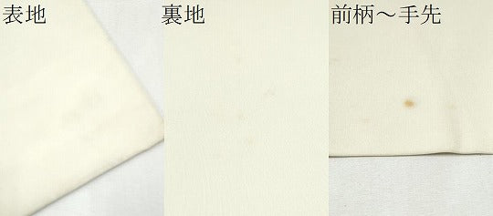 平和屋着物●塩瀬 九寸名古屋帯 舞花文 金銀彩 正絹 逸品 CABD0457hy