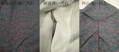 平和屋着物■上質な小紋 草花間道 正絹 逸品 CABD0895ze