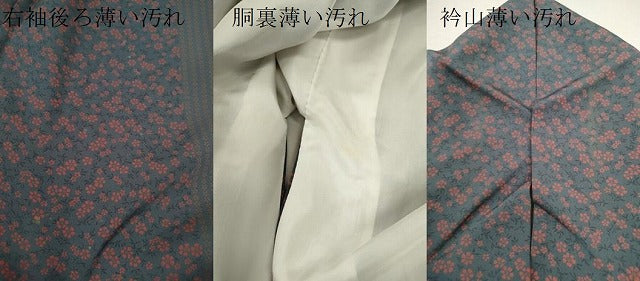 平和屋着物■上質な小紋 草花間道 正絹 逸品 CABD0895ze