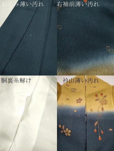 平和屋着物■訪問着 ふくれ織 網目枝花文 暈し染め 正絹 逸品 CABD1007ze
