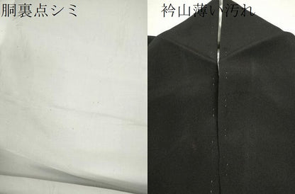 平和屋着物■豪華黒留袖　刺繍　尾長鳥地紙松梅文　金銀彩　正絹　逸品　CABD1042ze