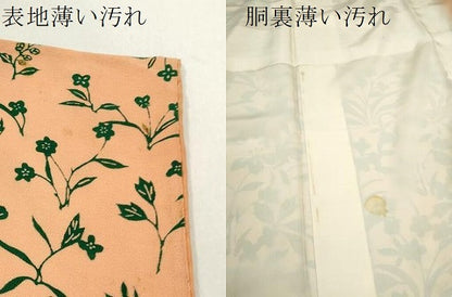 平和屋着物■訪問着　草花文　正絹　逸品　CABD1145ze