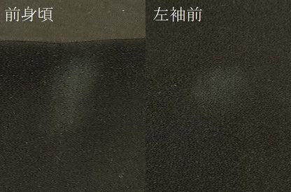 平和屋着物＃羽織 寿光織 草花文 黒地 金銀糸 正絹 逸品 CABD1527in