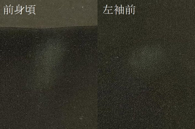 平和屋着物＃羽織 寿光織 草花文 黒地 金銀糸 正絹 逸品 CABD1527in