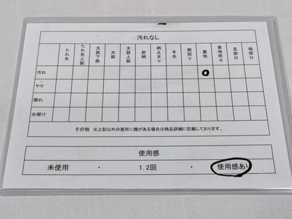 平和屋着物◎六通柄袋帯　風景松花文　金銀糸　正絹　逸品　CABD1724ha