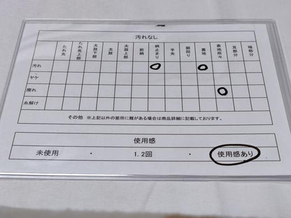平和屋着物◎六通柄袋帯 菱取彩松文 金銀糸 引箔 正絹 逸品 CABD1759ha