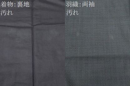 平和屋着物■男性　本場大島紬　アンサンブル　80亀甲　総詰め　正絹　逸品　CABD1854fb